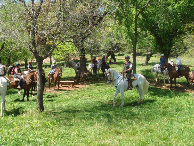 Casa Tinoco Casa Rural Categoria Superior Fuenteheridos Dış mekan fotoğraf